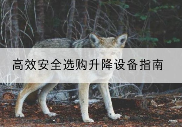 泾川升降货梯厂家推荐-*安全选购升降设备指南