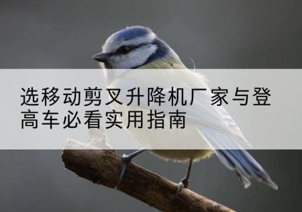 泾川电动升降机厂家-选移动剪叉升降机厂家与登高车必看实用指南