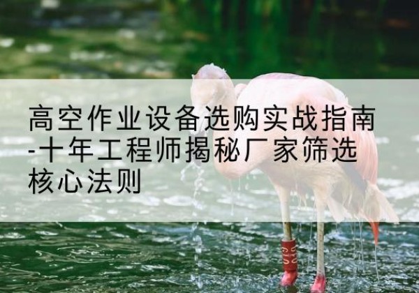 泾川剪叉式升降机厂家-高空作业设备选购实战指南-十年工程师揭秘厂家筛选核心法则